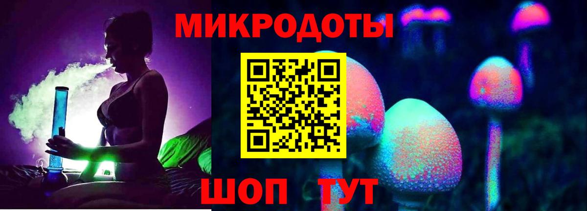 Губаха  как найти закладки  Вход с VPN  Псилоцибиновые грибы мицелий 