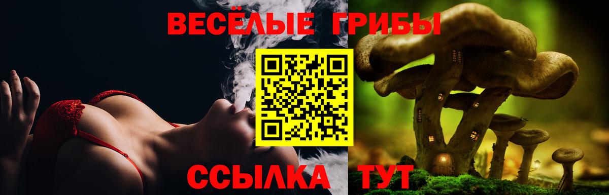 Псилоцибиновые грибы Magic Shrooms Губаха